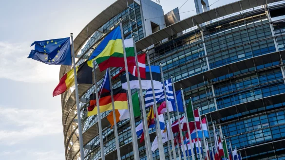 Die Europawahl ist eine der gr&ouml;&szlig;ten demokratischen Abstimmungen weltweit. - &copy; Philipp von Ditfurth/dpa