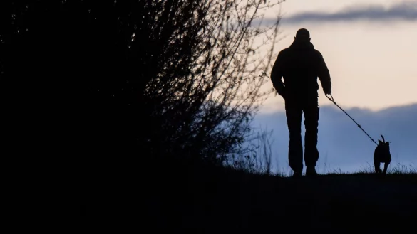 F&uuml;r die Anschaffung und Pflege eines Hundes gibt es keinen staatlichen Zuschuss. (zu dpa: &laquo;Urteil: Jobcenter muss Kosten f&uuml;r Hund nicht tragen&raquo;) - &copy; Julian Stratenschulte/dpa
