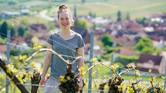 Immer mehr Frauen in Deutschland entscheiden sich Winzerin zu werden, so auch Hanna Nunkesser. - &copy; Uwe Anspach/dpa