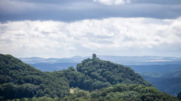 Blick auf den Wald des Siebengebirges mit der Drachenfelsruine. - &copy; Thomas Banneyer/dpa/Archivbild