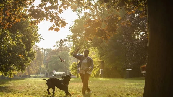 Spiel und Spa&szlig; lohnt sich: Findet ein Hund seine Bezugsperson spannend, kooperiert er lieber. - &copy; Christin Klose/dpa-tmn