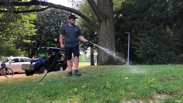 Eine L&ouml;sung mit Fadenw&uuml;rmern wird in einem Park verspritzt. - &copy; Christian B&ouml;hmer/dpa