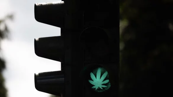 Der Bundestag hat die kontrollierte Cannabis-Freigabe beschlossen. - &copy; Rolf Vennenbernd/dpa