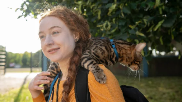 Aktuell werden immer mehr Katzen an der Leine durch Gro&szlig;stadtstra&szlig;en gef&uuml;hrt. (Archivbild) - &copy; Paul Zinken/dpa