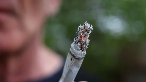 Das Cannabis-Gesetz der Ampel-Koalition kann wie vorgesehen am 1. April in Kraft treten. - &copy; Karl-Josef Hildenbrand/dpa