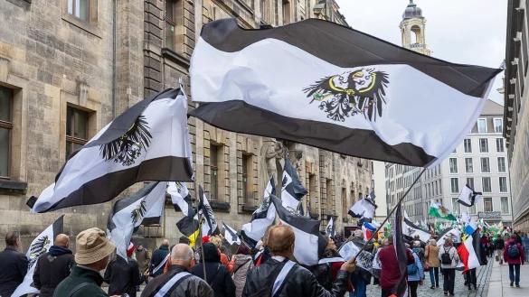 Mehrere hundert Teilnehmer einer Demonstration ziehen mit Flaggen durch die Innenstadt. - &copy; Daniel Sch&auml;fer/dpa-Zentralbild/dpa