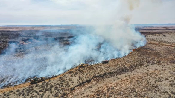 Feuerwehrleute bek&auml;mpfen das Smokehouse Creek Fire n&ouml;rdlich von Canadian im US-Bundesstaat Texas. - &copy; David Erickson/AP/dpa