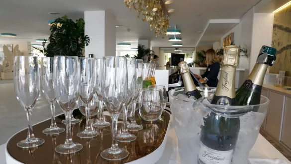 In Katalonien verdorren Weinreben - es ist zu trocken. Freixenet zieht nun Konsequenzen. - &copy; Clara Margais/dpa