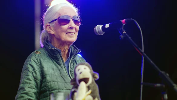 Jane Goodall auf der Greenpeace-B&uuml;hne beim Glastonbury Festival in Worthy Farm. - &copy; Ben Birchall/PA Wire/dpa