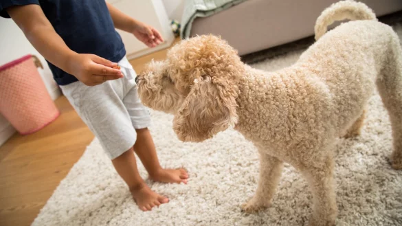 Viele Kinder schaffen es nicht, sich jeden Tag ausreichend k&ouml;rperlich zu bet&auml;tigen. Ob ein Hund im Haus da helfen kann? - &copy; Christin Klose/dpa-tmn/dpa