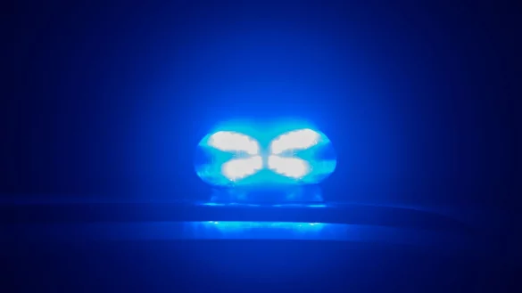Blaulicht leuchtet auf dem Dach eines Polizeiautos. - &copy; Robert Michael/dpa/Symbolbild