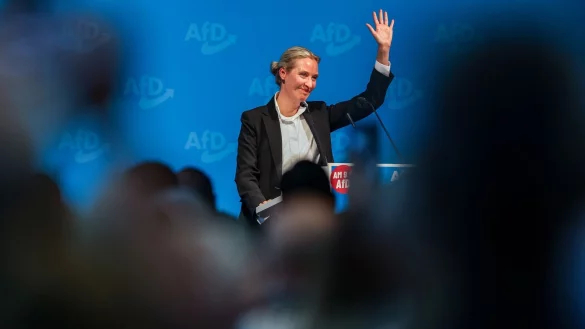 Alice Weidel, Bundesvorsitzende der AfD, spricht auf der Veranstaltung. - &copy; Christoph Reichwein/dpa