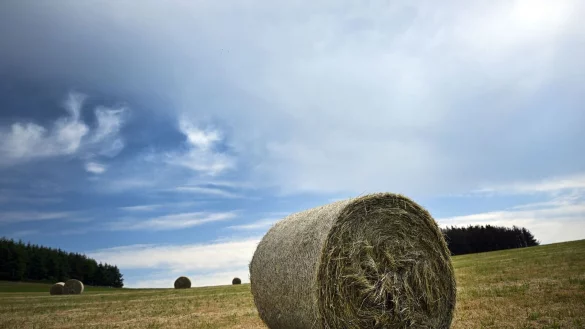 Zum Ende der Woche ist die Wolkendecke mal dicht, mal scheint die Sonne hindurch. Die Temperaturen bleiben sommerlich warm. (Archivbild) - &copy; Federico Gambarini/dpa