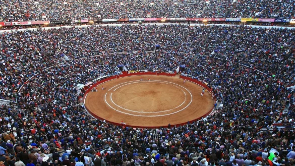 Stierkampfgegner prangern das Leiden und T&ouml;ten der Tiere an. - &copy; Mario Guzman/EFE/EPA/dpa