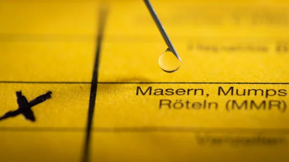 Eine Spritze liegt auf einem Impfpass in Vorbereitung auf eine Schutzimpfung gegen Masern. - &copy; Friso Gentsch/dpa