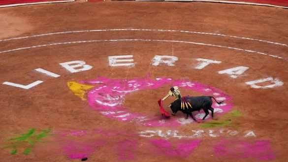 Nach rund anderthalbj&auml;hriger Pause finden in der Plaza M&eacute;xico in Mexiko-Stadt wieder Stierk&auml;mpfe statt. - &copy; Fernando Llano/AP/dpa