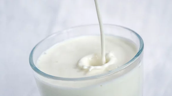 In den USA sollte derzeit lediglich pasteurisierte Milch konsumiert werden. - &copy; Sina Schuldt/dpa