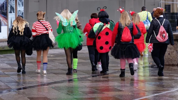 Eine Gruppe verkleideter Menschen ist in K&ouml;ln unterwegs. Die Karnevalssaison in Deutschland ist wieder voll im Gange. - &copy; Henning Kaiser/dpa