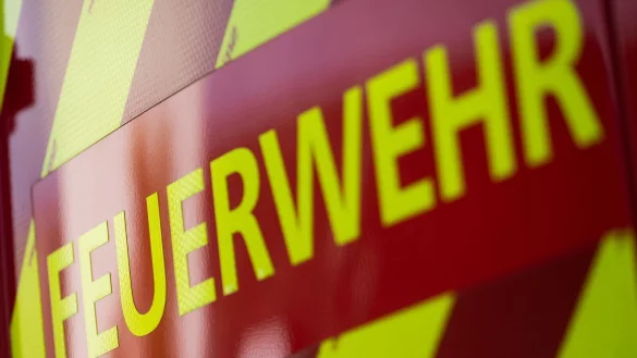 Bei einem K&uuml;chenbrand in Dortmund sind am Sonntagabend drei Katzen verendet. - &copy; Marijan Murat/dpa