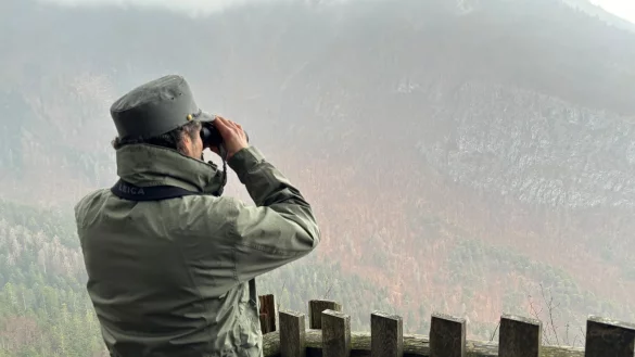 Wann die italienische &laquo;Problemb&auml;rin&raquo; Gaia in den B&auml;renpark im Schwarzwald kommt, ist noch nicht klar. (Archivbild) - &copy; Robert Messer/dpa