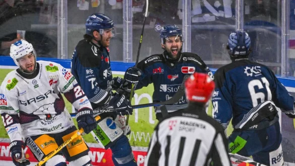 Die Straubing Tigers (blaue Trikots) holten in der Serie gegen die Eisb&auml;ren den ersten Sieg. - &copy; Armin Weigel/dpa