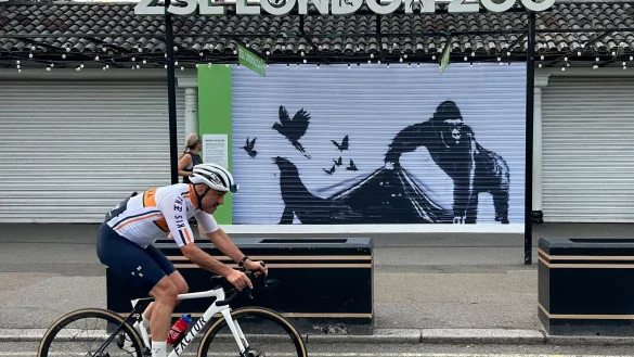 Der Londoner Zoo hat das Gorilla-Wandbild von Banksy von seinem Eingangstor ausgetauscht. - &copy; Brian Melley/AP/dpa