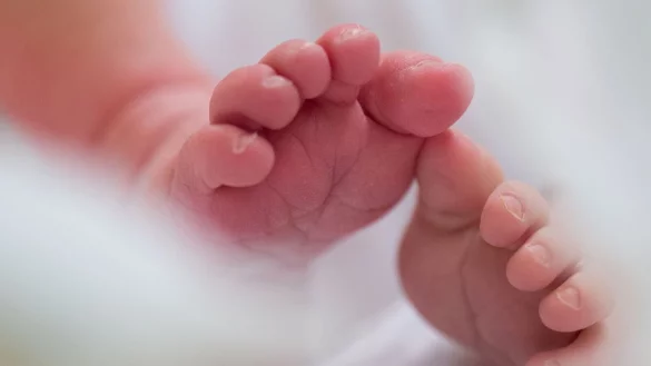 Ein S&auml;ugling liegt in einem Bett auf der Wochenstation. - &copy; Arno Burgi/dpa