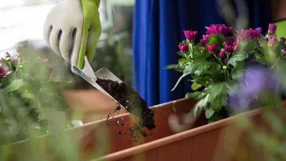 Der Fr&uuml;hling steht vor der T&uuml;r und es wird wieder geg&auml;rtnert. Handliche Kleinger&auml;te sollten hierbei nicht nur kompakt, sondern auch ausreichend stabil sein. - &copy; Franziska Gabbert/dpa-tmn/dpa