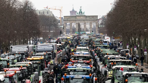 Im Dezember fuhren die Bauern mit tausenden Traktoren durch Berlin, um gegen die Pl&auml;ne der Regierung zu protestieren. - &copy; Fabian Sommer/dpa