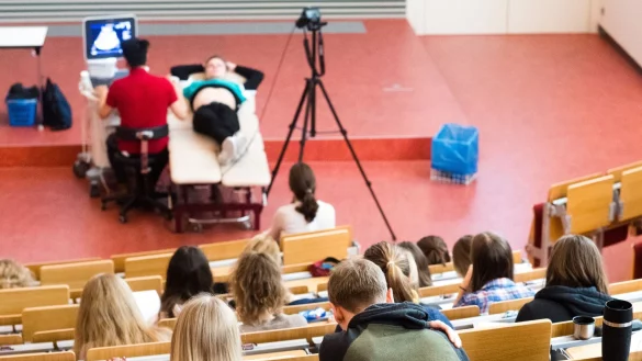 Wer ein Medizinstudium im Ausland in Betracht zieht, sollte Angebote und Kosten - auch f&uuml;r die Lebenshaltung vor Ort - genau vergleichen. - &copy; Julian Stratenschulte/dpa