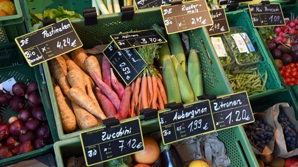 Die Nachfrage nach Bio-Lebensmitteln ist trotz Krisen wieder gewachsen. - &copy; Bernd Settnik/dpa-Zentralbild/dpa