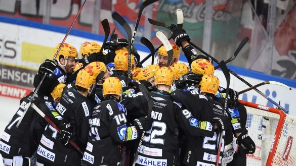 Die Fischtown Pinguins stehen im DEL-Finale. - &copy; Carmen Jaspersen/dpa