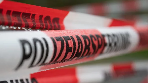 In einem Waldst&uuml;ck im Saarland haben Spazierg&auml;nger menschliche Knochen gefunden (Symbolbild). - &copy; Sebastian Kahnert/dpa