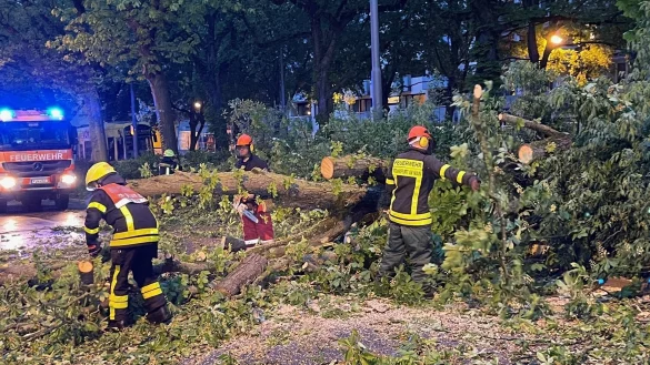 Ein Unwetter ist über Deutschland hinweggefegt; es gibt Verletzte und Schäden. - © Mike Seeboth/dpa