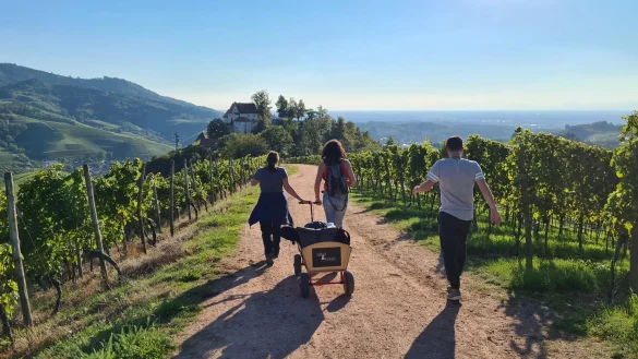Ab in die Natur: Mit &laquo;Durbach Adventures&raquo; auf Weintour durch die Ortenau. - &copy; Durbach Adventures/Durbach Adventures/dpa