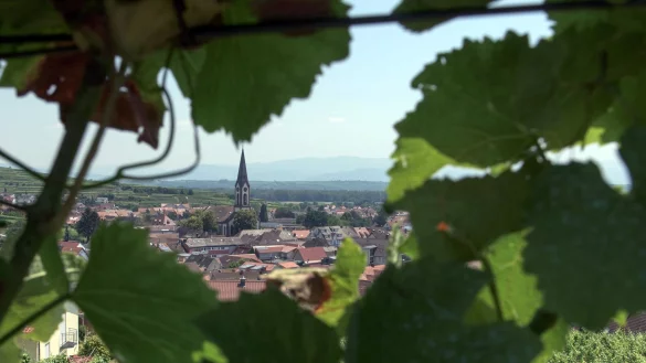 Ist gepr&auml;gt von Wein und dessen Anbau: Ihringen am Kaiserstuhl. - &copy; Patrick Seeger/dpa/dpa-tmn
