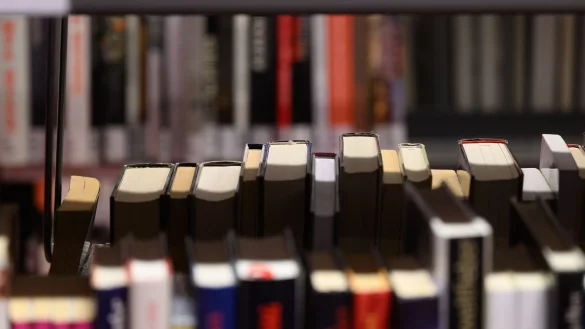 Der Astrid-Lindgren-Ged&auml;chtnispreis wurde an eine indigene Literaturstiftung vergeben. - &copy; Robert Michael/dpa