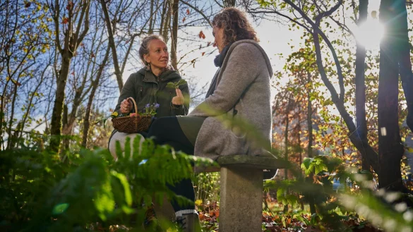 Vermittelt Wissen und kocht mit ihren G&auml;sten: Kr&auml;uterp&auml;dagogin Nadine Albers. - &copy; Klaus-Peter Kappest/Schmallenberger Sauerland Tourismus/dpa-tmn