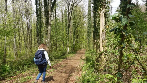 Wann kommt das nächste Industriedenkmal? Unterwegs auf dem Minett-Trail - © Andreas Drouve/dpa-tmn