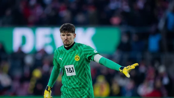 Fu&szlig;ball: Bundesliga, 1. FC K&ouml;ln - Borussia Dortmund, 18. Spieltag, RheinEnergieStadion. - &copy; Rolf Vennenbernd/dpa