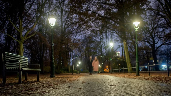 Laternen am Rande des Gro&szlig;en Tiergartens in Berlin. - &copy; Philipp Znidar/dpa-Zentralbild/dpa