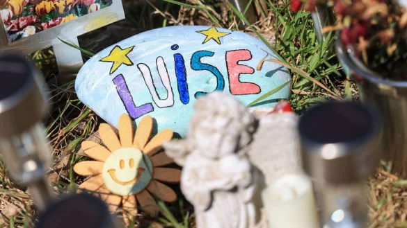 Ein Stein mit dem aufgemaltem Namen "Luise" liegt am Waldrand. - &copy; Oliver Berg/dpa/Archivbild