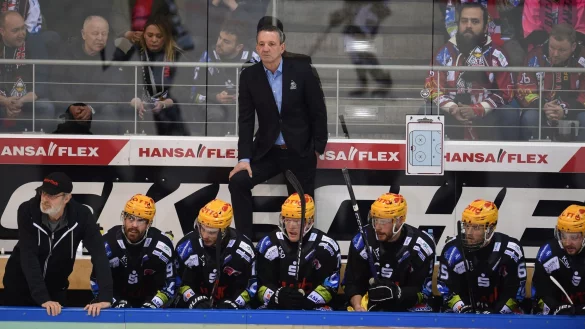 Thomas Popiesch (M,oben), Trainer der Pinguins Bremerhaven, verfolgt das Spiel. - &copy; Carmen Jaspersen/dpa