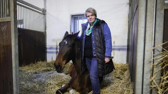 Nadine Wilkens, Landwirtin und Inhaberin einer Pferdepension, hat ihre Tiere vor dem Hochwasser in Sicherheit gebracht. - &copy; Christian Charisius/dpa