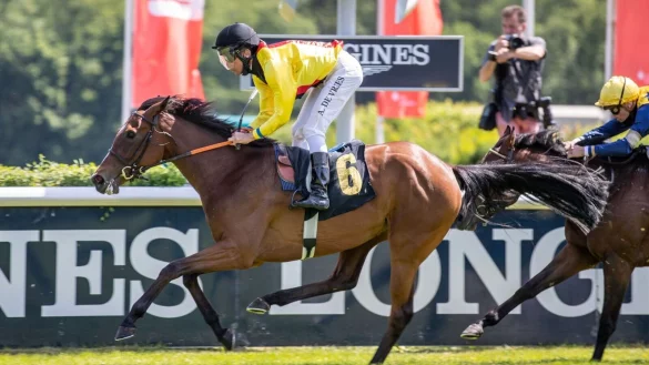 Jockey Adrie de Vries und Daring Light vom Gestüt Auenquelle. - © Andreas Gora/dpa/Archiv