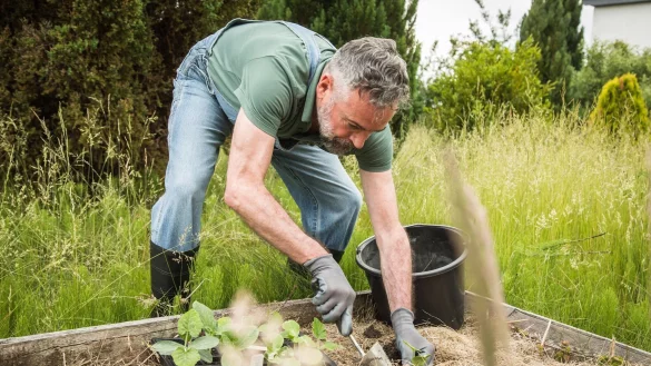 Beim G&auml;rtnern werden verschiedene Bewegungen ausgef&uuml;hrt, die die Muskeln im Bauch und R&uuml;cken st&auml;rken und so vor R&uuml;ckenschmerzen sch&uuml;tzen. - &copy; Christin Klose/dpa-tmn/dpa