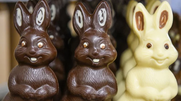 Ein Schweizer Unternehmen f&uuml;r die Erstellung von &Ouml;kobilanzen stellt fest: je dunkler die Schokolade, desto besser f&uuml;r die Umwelt. - &copy; Patrick Pleul/dpa-Zentralbild/dpa