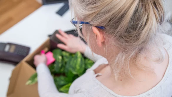 Alles eingepackt: Bei einer Betriebsstilllegung k&ouml;nnen auch Besch&auml;ftigte in Elternzeit unter Vorlage einer entsprechenden Genehmigung gek&uuml;ndigt werden. - &copy; Christin Klose/dpa-tmn/dpa