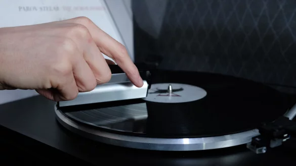 Sauber für unter 10 Euro: «Für die einfache Reinigung sind Carbonbürsten die beste Wahl», rät Hi-Fi-Experte Herbert Bisges. - © Laura Ludwig/dpa-tmn