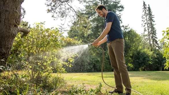 Wichtiger als die H&auml;ufigkeit ist beim W&auml;ssern die Menge. Wird der Boden einmal durchdringend gew&auml;ssert, kann das Wasser auch in tiefere Bodenschichten dringen. - &copy; Christin Klose/dpa-tmn/dpa